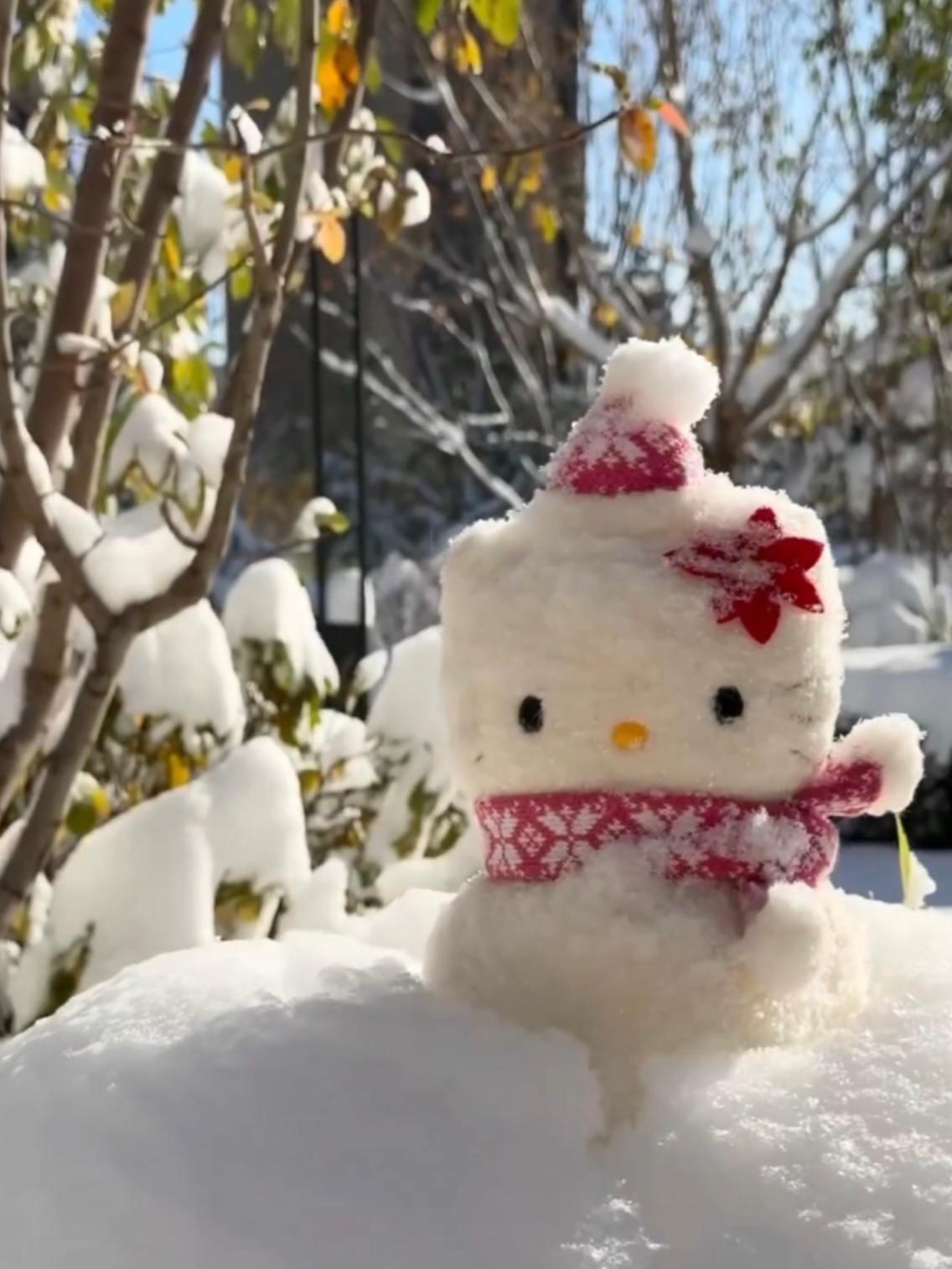 #生气了让南方自己猜# 想堆雪人的心达到了巅峰！！！雪！！！！你在哪里啊[泪][