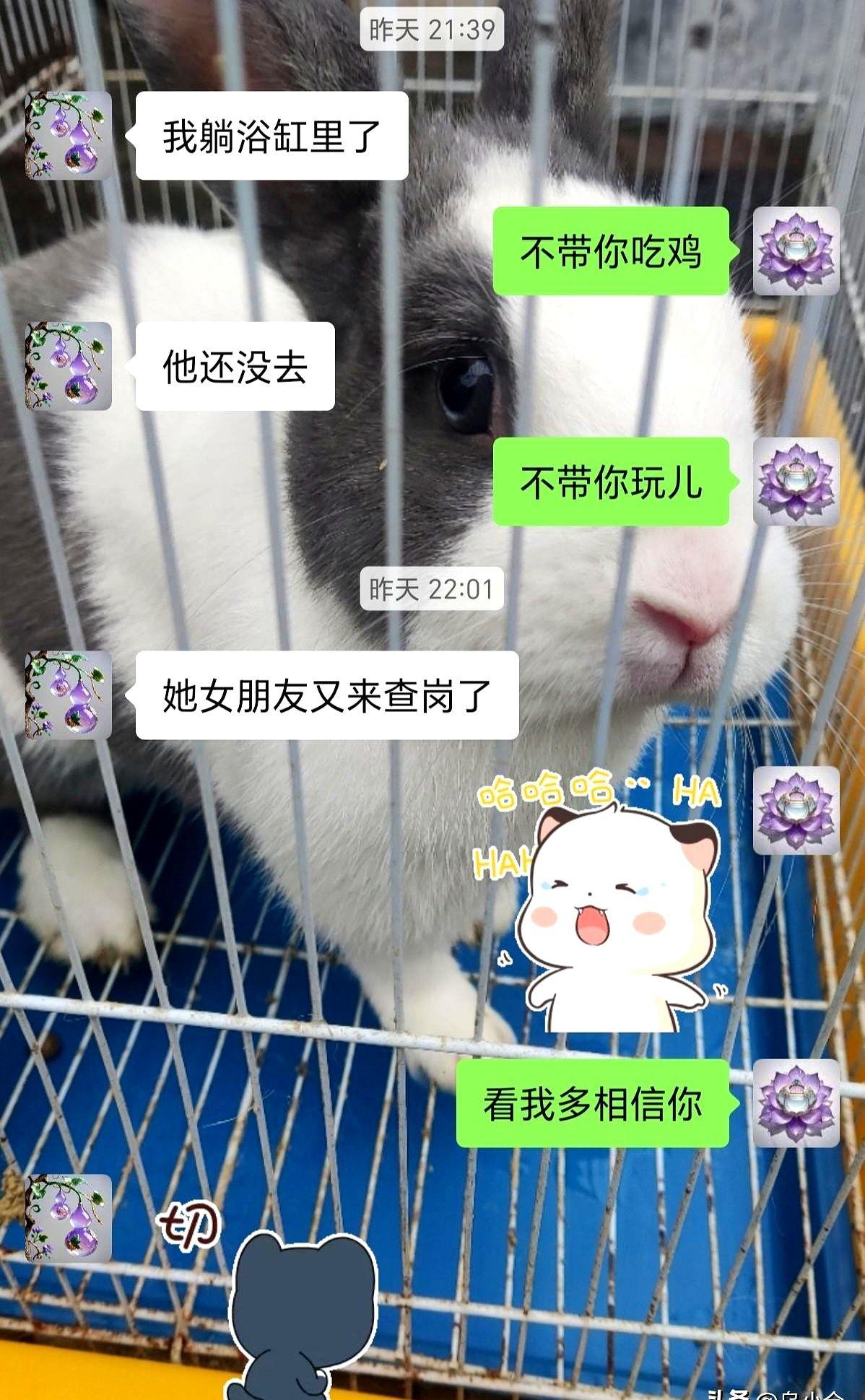 男人真想干点什么。
我老公那个出差的同事，他女朋友每天晚上都要视频通话检查一遍酒