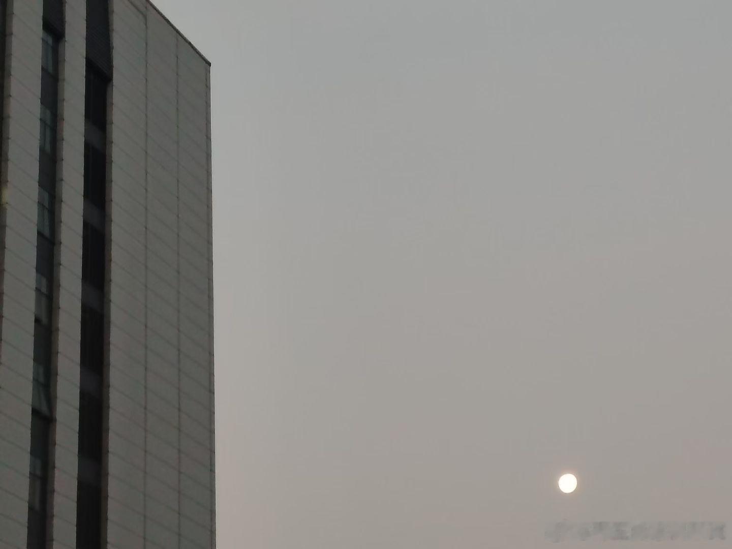 立春七点见日月，春风拂面马蹄近。2026年2月4日早摄于湖北十堰张湾大岭路。 