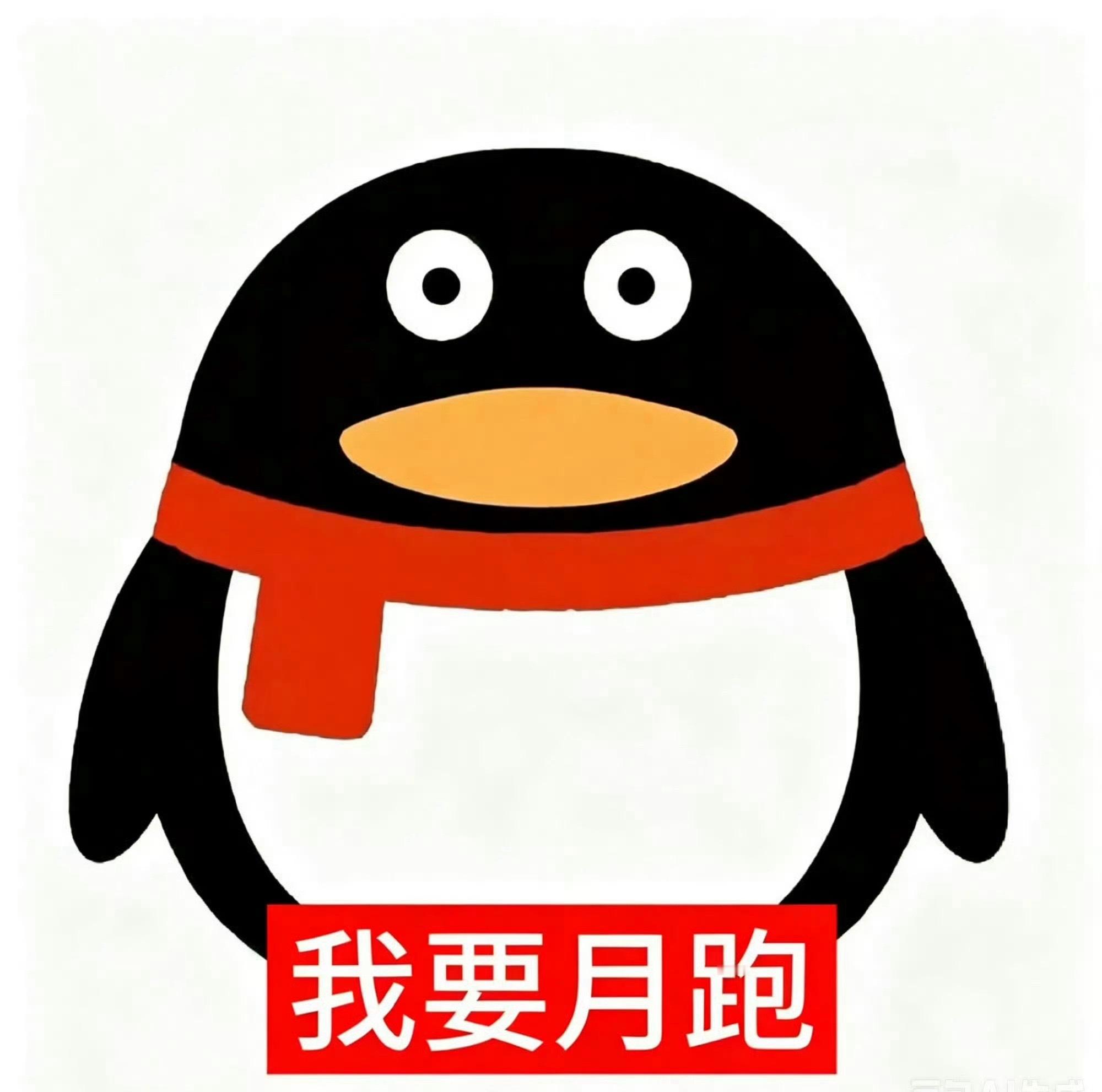 🈷️🫧 帮我卷卷可连坐
