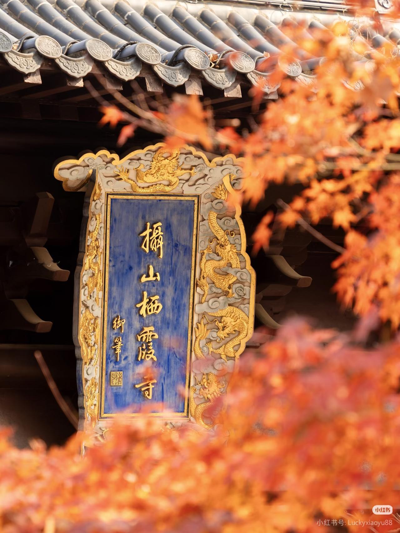 秋天去南京栖霞山赏最美枫叶吧｜附攻略

深山踏红叶，耳畔闻鸟鸣，下个月一起去南京