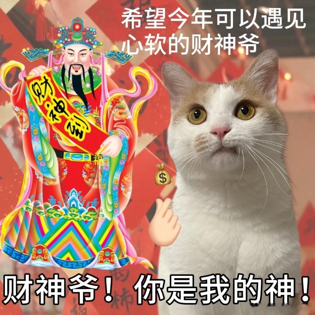 大吉胡咧咧 挟恩不图报13枣康还算顺利的，把这份日薪五百的家政工作坚持下来了。这