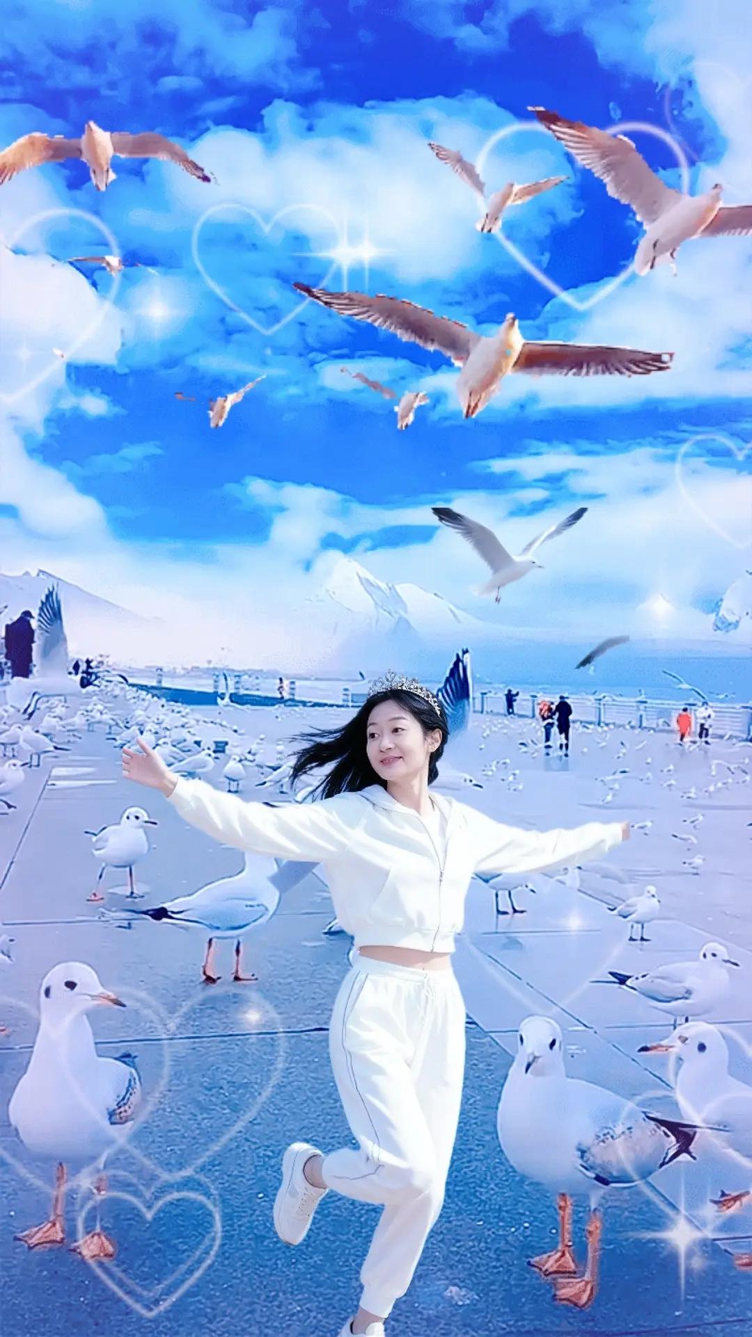 一起沉沦在绝美的海边看海鸥 被海鸥包围的快乐