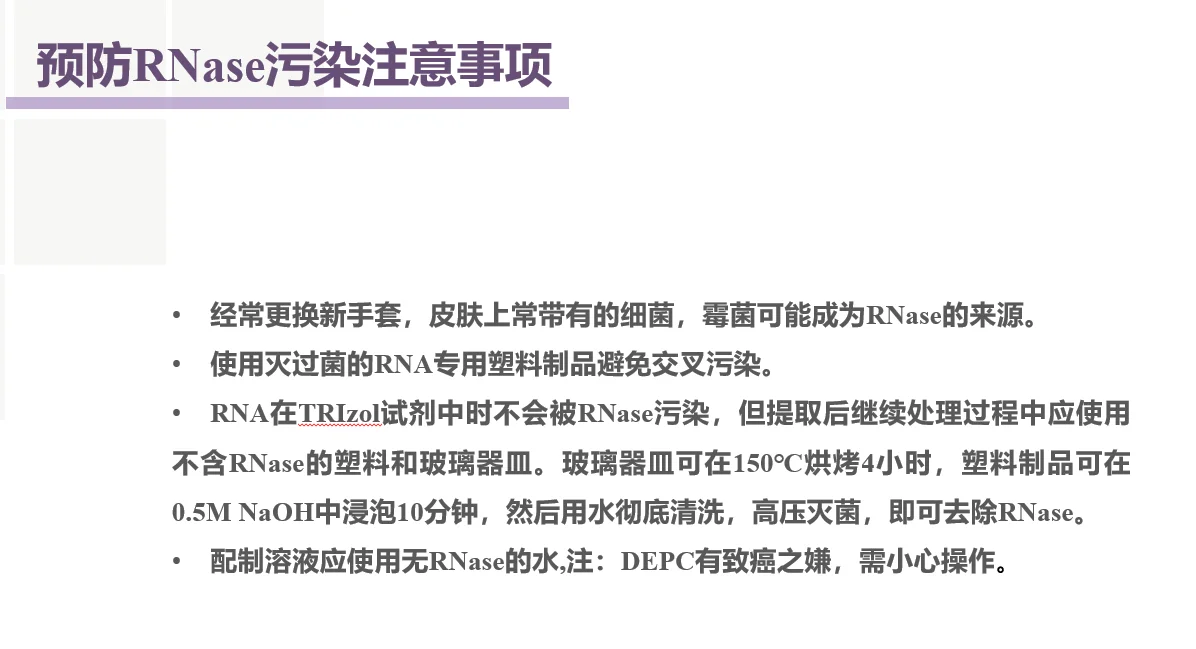 研一进来抽RNA吧