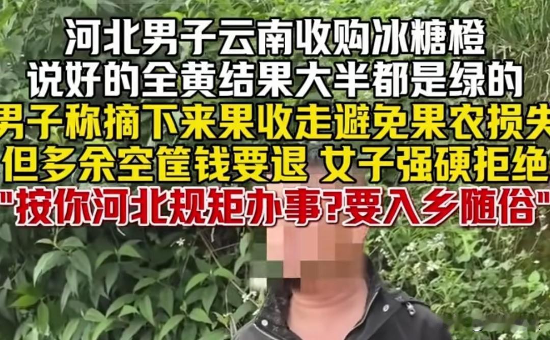 女子凭一己之力把果农干翻！云南，男子收购冰糖橙，和女子说好要全黄的，可第二天到果