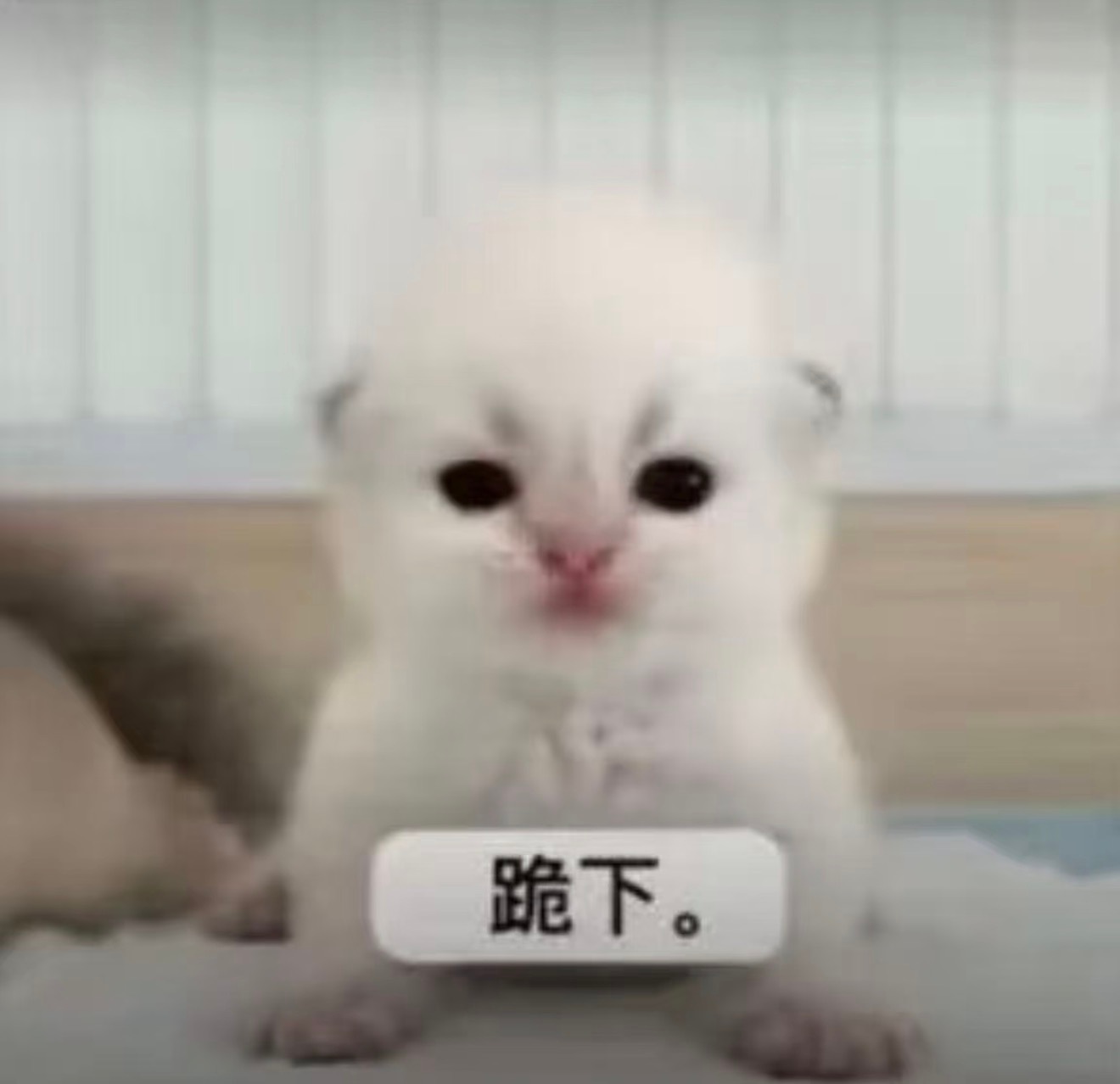 肯德基酱料正式收费我还是那句话！！！！我备注不要酱的时候没给我优惠！！！！