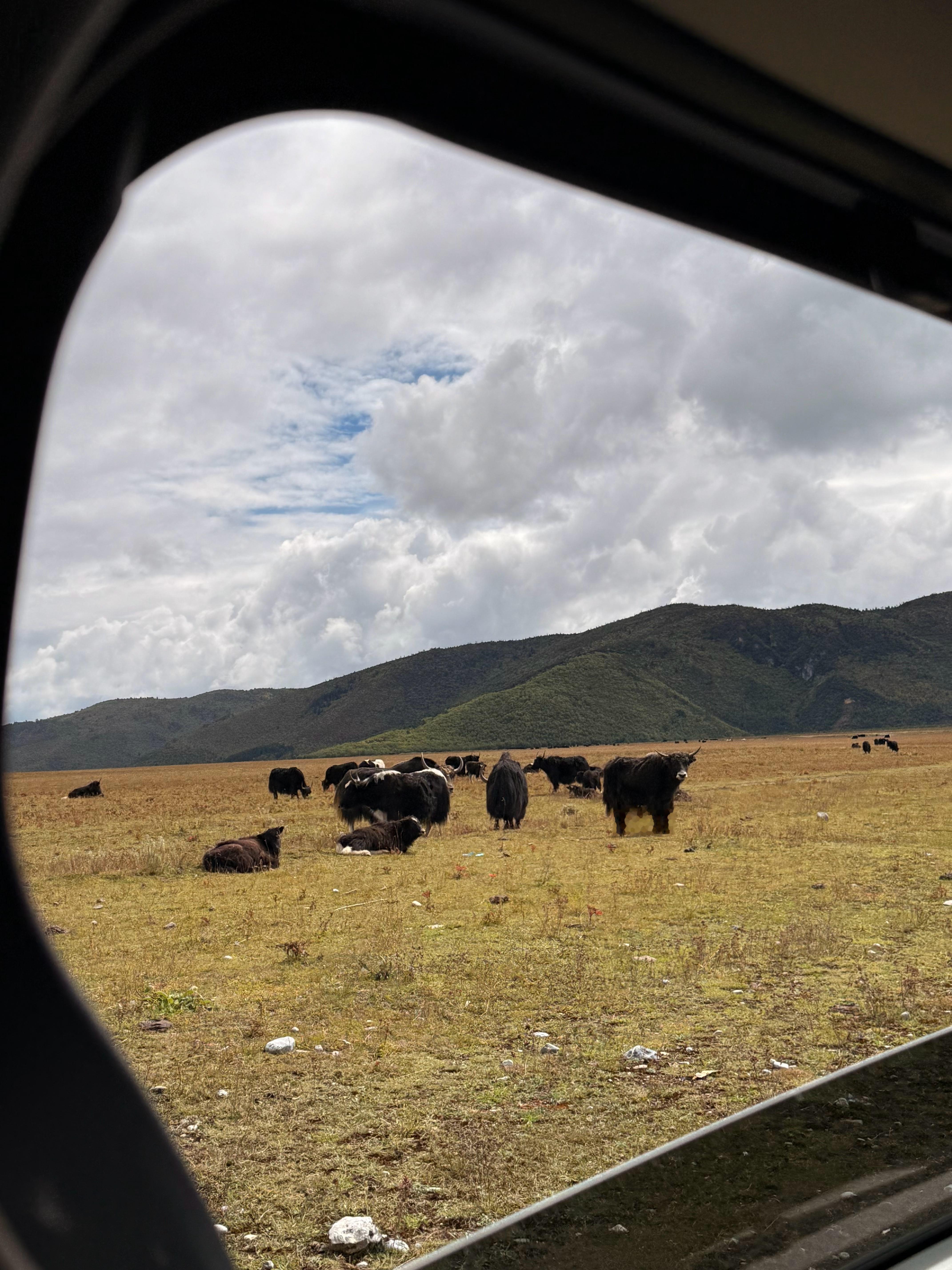 心中的日月 香格里拉回忆录 香格里拉·香格里拉县独克宗古城