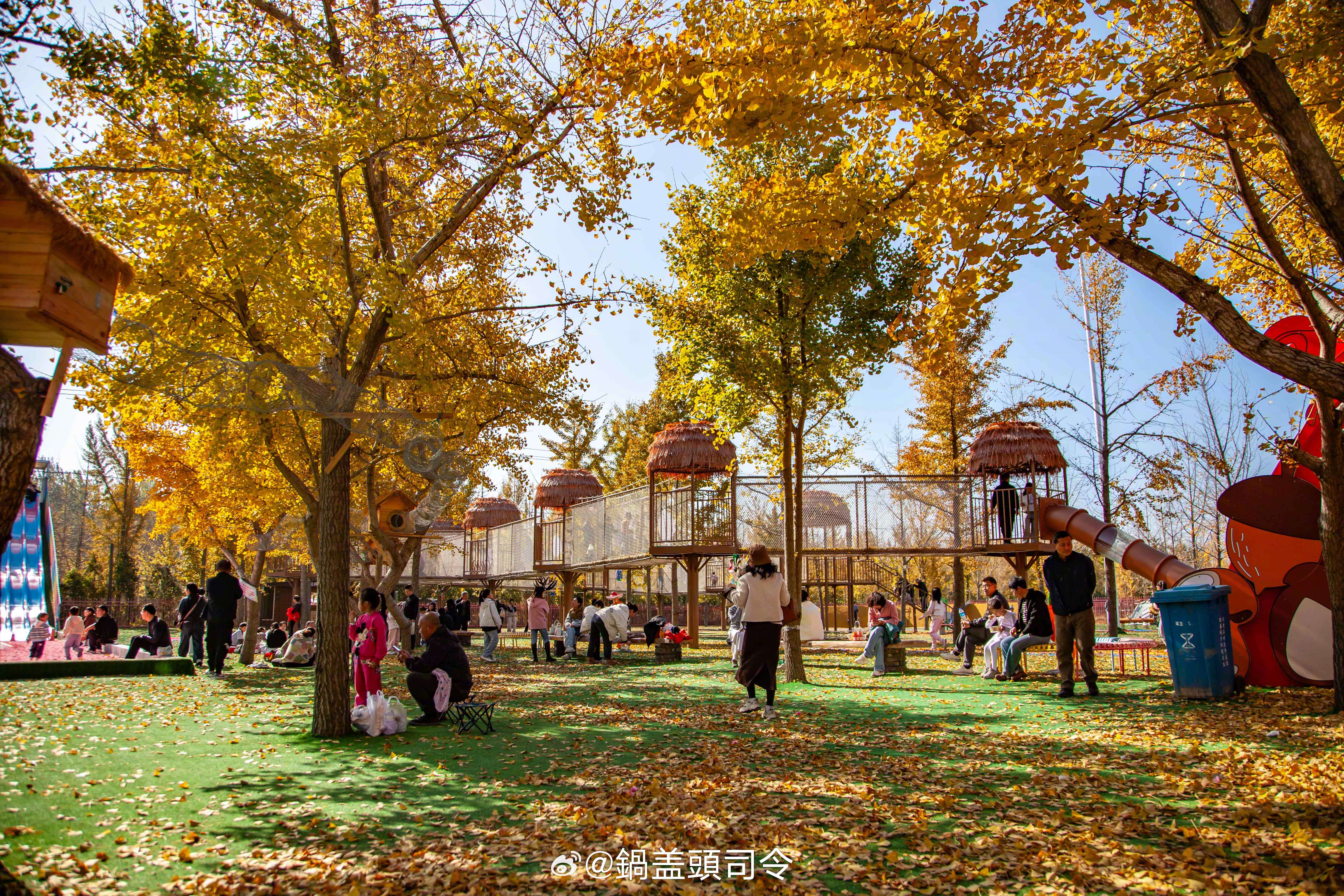 烟台莱州第十届“小草秋韵”金秋旅游文化节。今年文化节以“赏秋韵、品丰收、享欢乐”