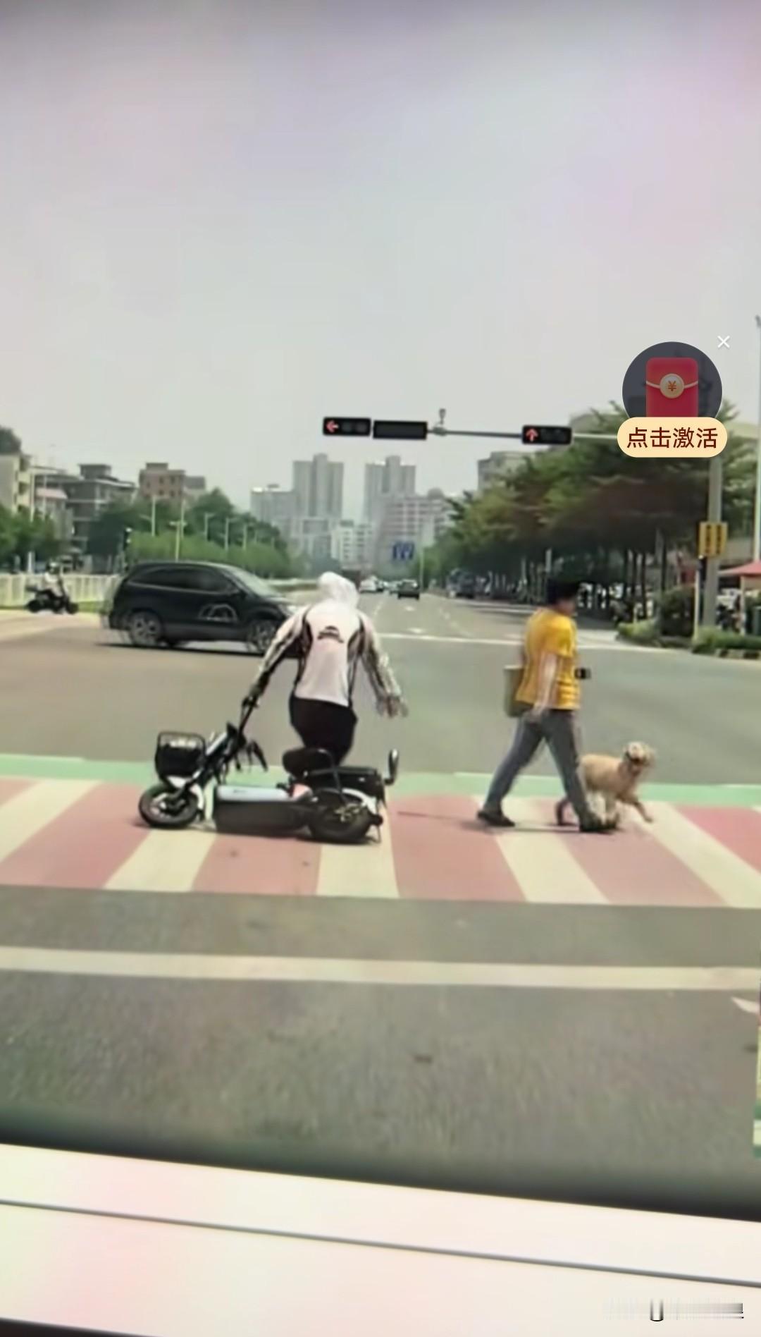 遛狗时没拉住狗绳，狗狗跟路过的阿姨嬉闹，主人赶忙拉住狗绳，结果狗狗踢了阿姨两脚。
