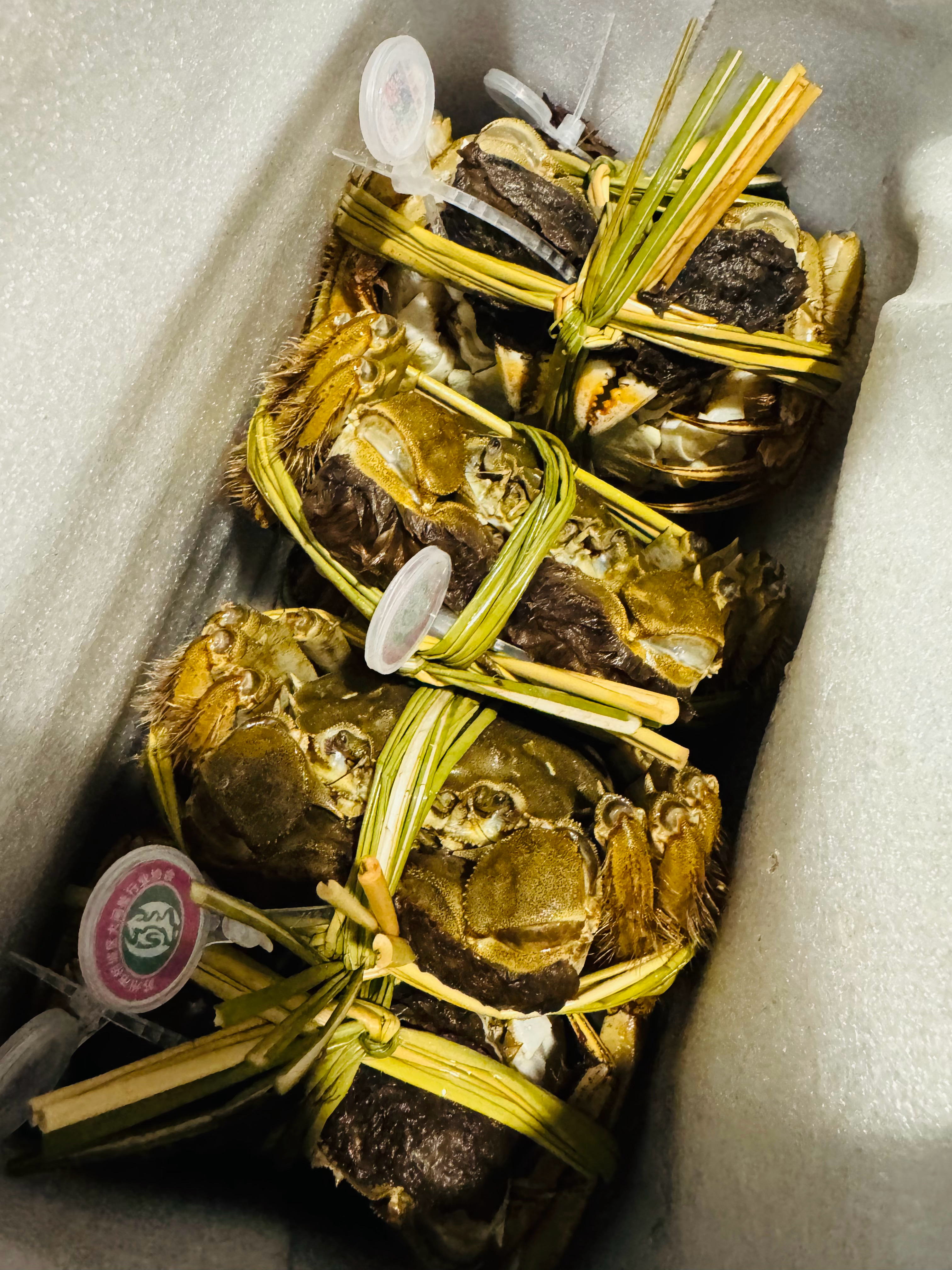 这次的大闸蟹真好吃😋  ​​​