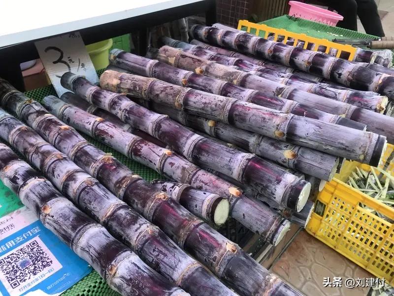 广州一地大量甘蔗滞销 官方介入 广州一地出现大量甘蔗滞销情况，官方迅速介入。广州