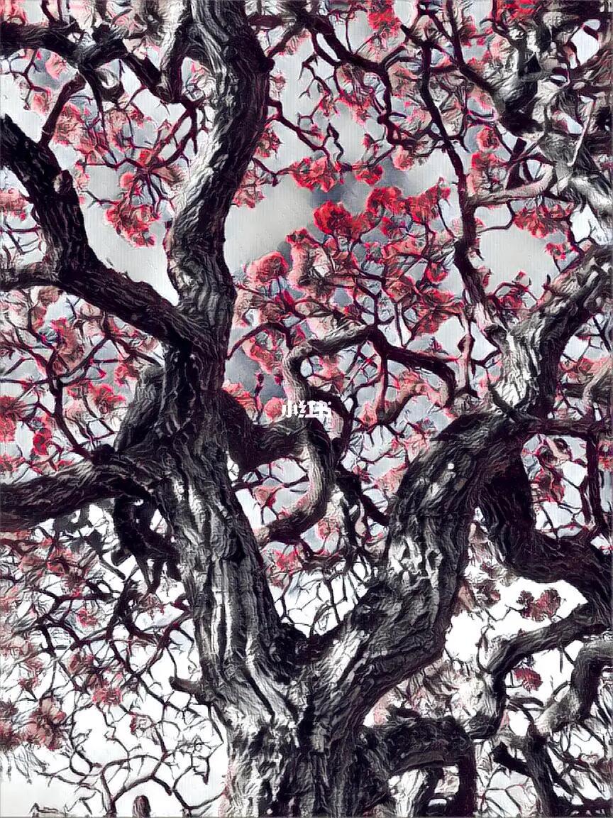 摄影修图|一键把废片修成一幅画