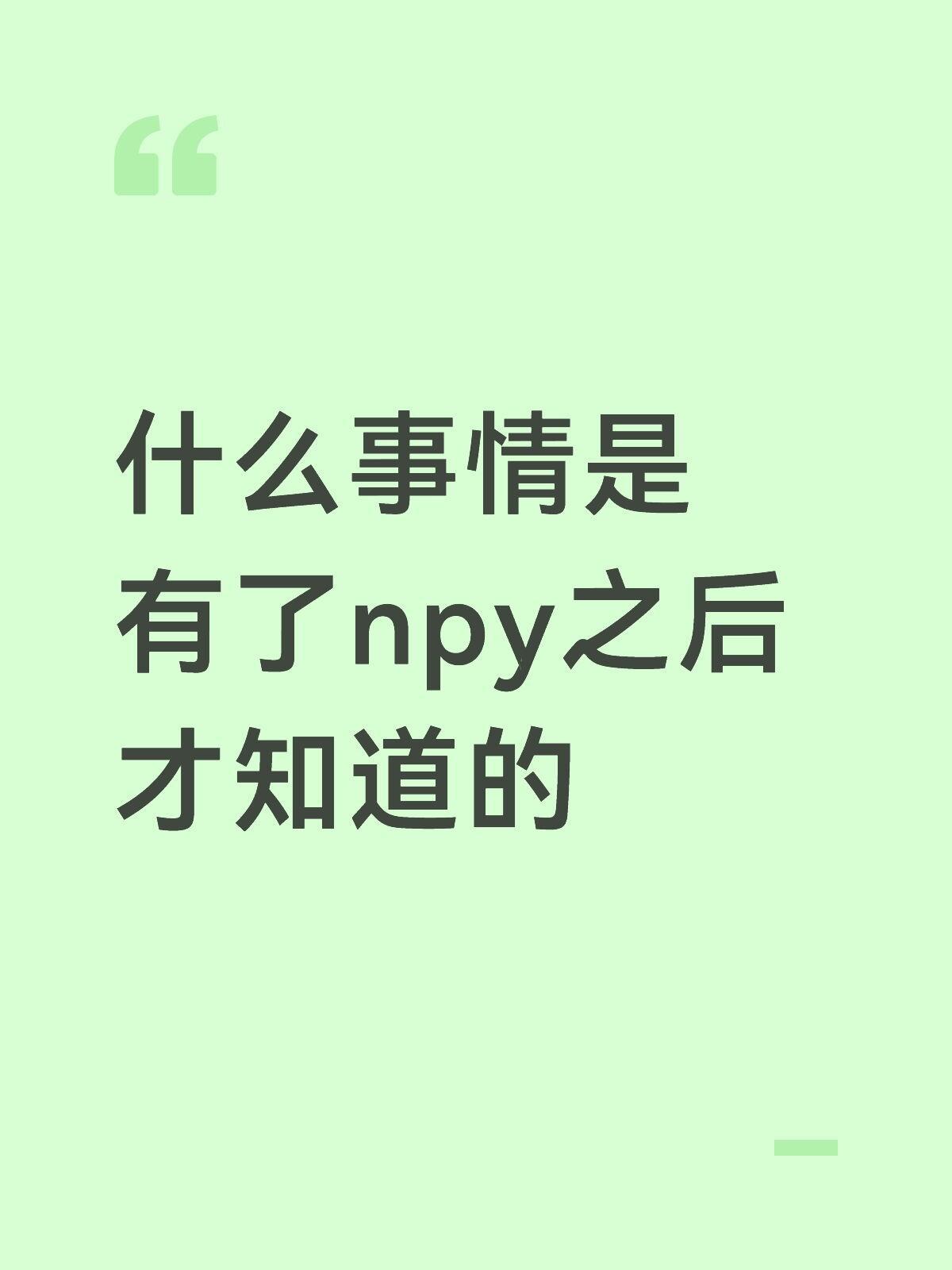 什么事情是有了npy之后才知道的 