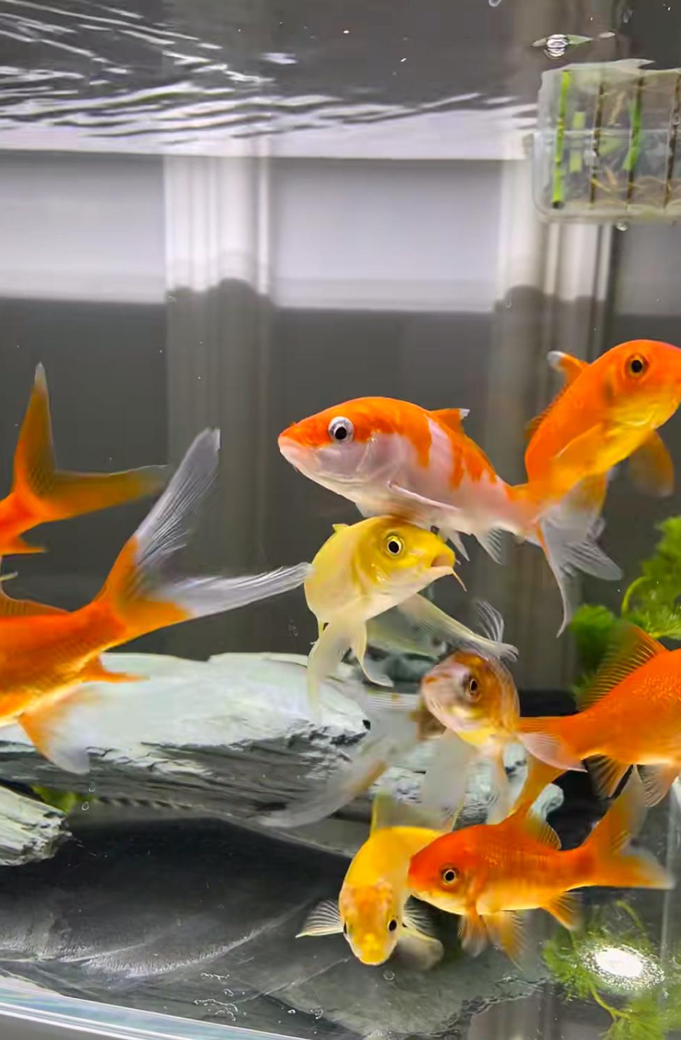 授人以鱼，不如授人以渔！