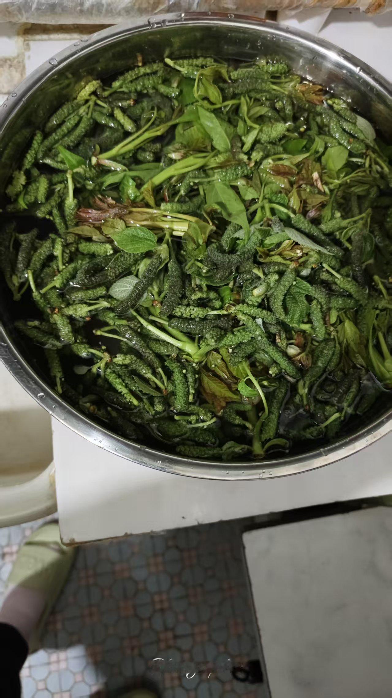 今天上午，我一个做家政的好朋友给我发过来一个图片，让我猜盘子里的绿菜是什么东西，