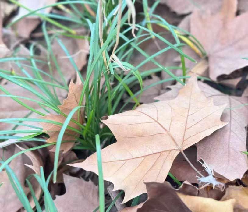 自卑就像给自己戴上了一副“灰色滤镜”，它会从内到外改变一个人的状态，通常表现为以