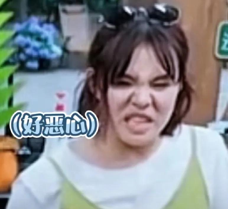 谢依霖参加向往的生活时亲眼目睹了黄磊用手尝饭菜的咸淡味道，那嫌弃的表情不言而喻，
