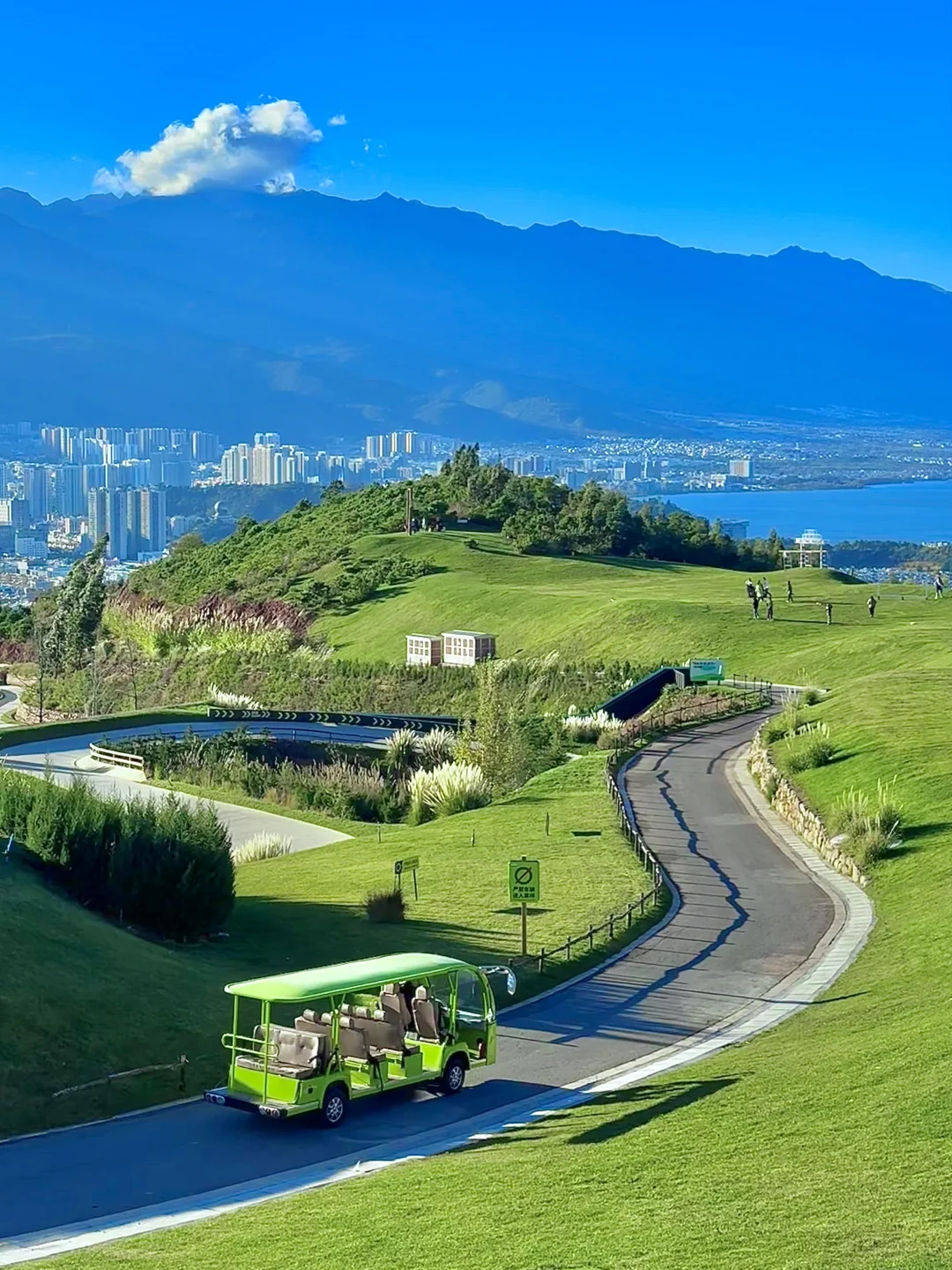 大理｜一半山海，一半城的浪漫🌳