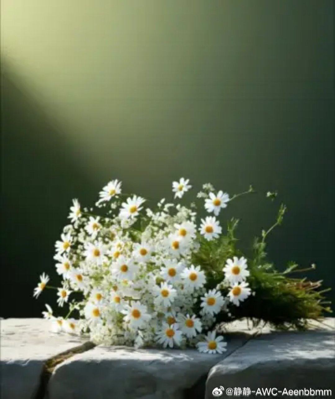 素菊云线∽遥寄思念 清明