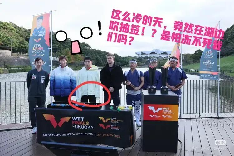 小石头，你就装吧，谁也救不了不你，哈哈哈😂😂


怪事年年有，今年特别多！今