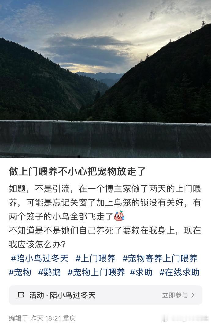 老天奶啊这还真不是引流 因为被放走小鸟的主人找上门了[衰] ​​​