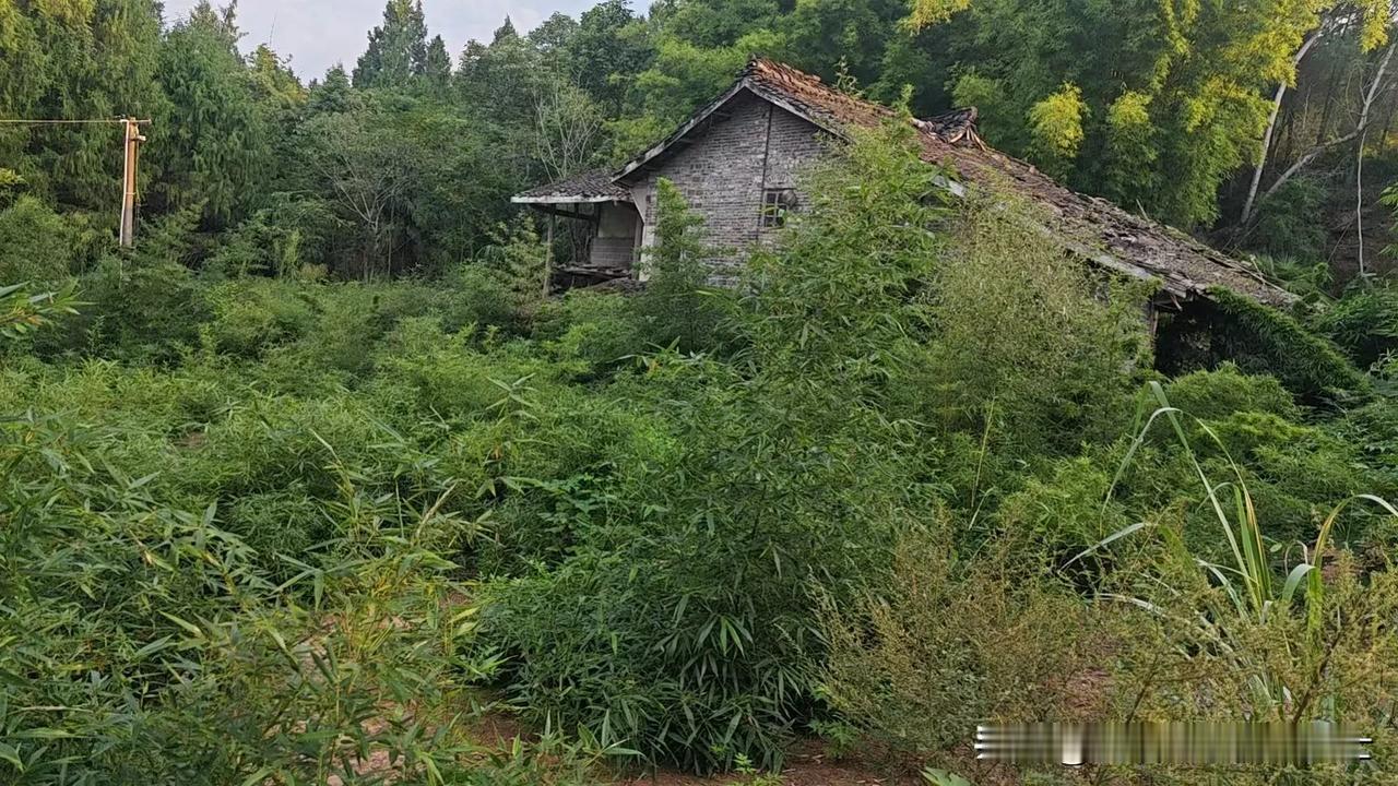 如果老家的房子办不到产权，是不是以后我就彻底失去老家的根了？

下午接到老家一熟