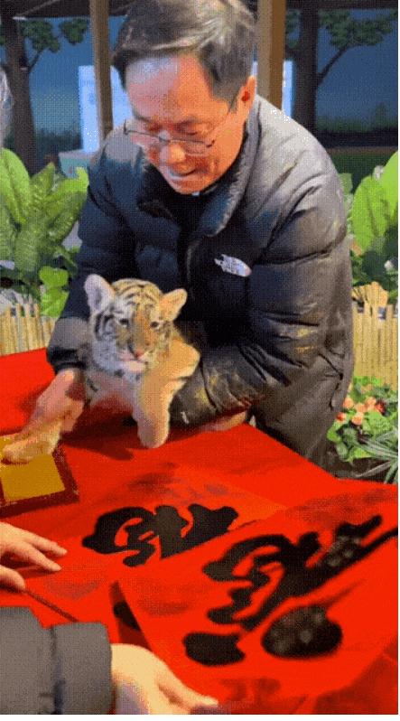 上班可真遭罪啊