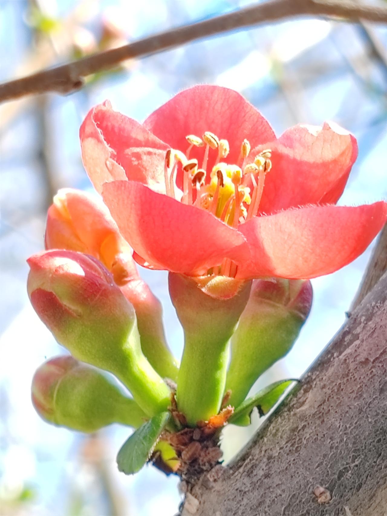 你觉得中国在哪些领域超越了美国 据中国政府网及权威媒体报道，中国在量子科技、人工