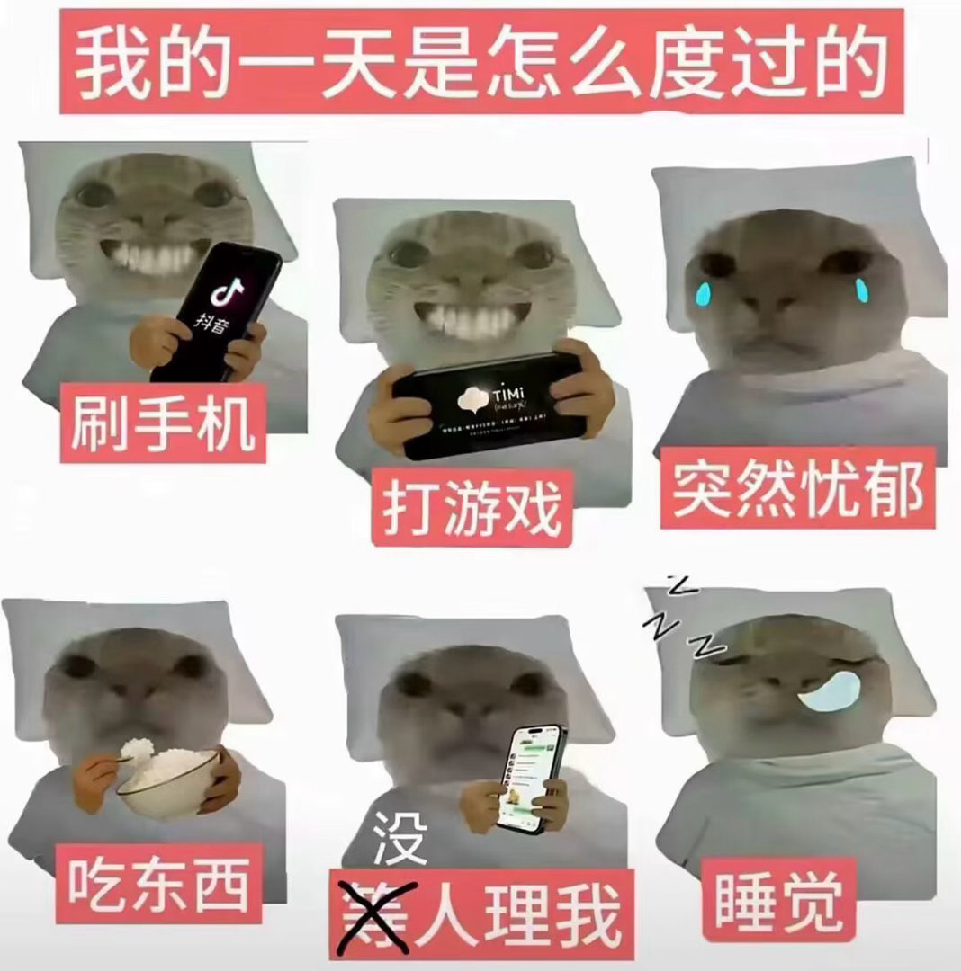 端午三天的我今日memesfunny memememe