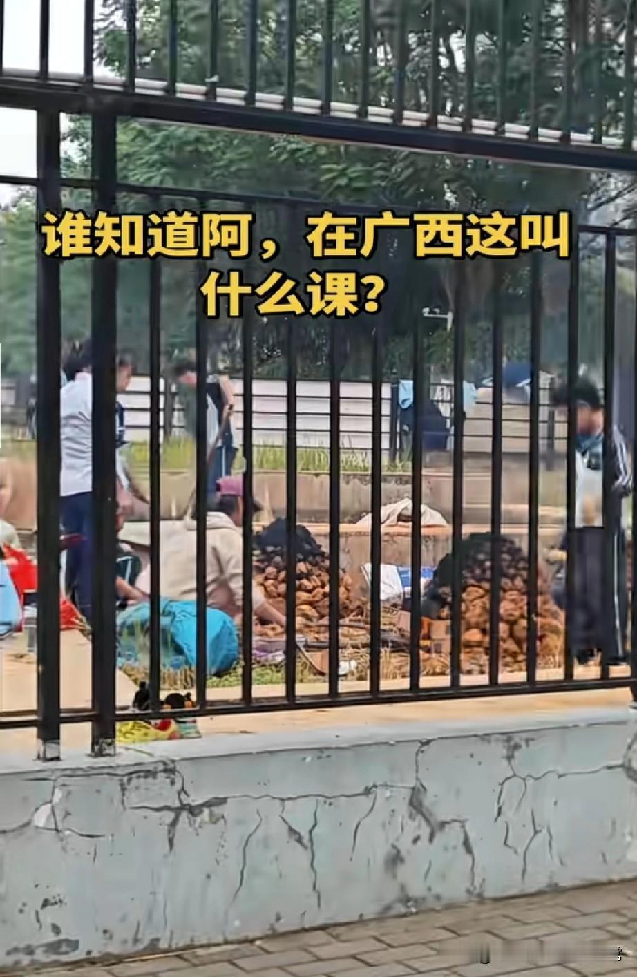 北方家长看完酸哭！广西娃的劳动课，才是童年该有的样子
 
刷到广西学校的劳动实践