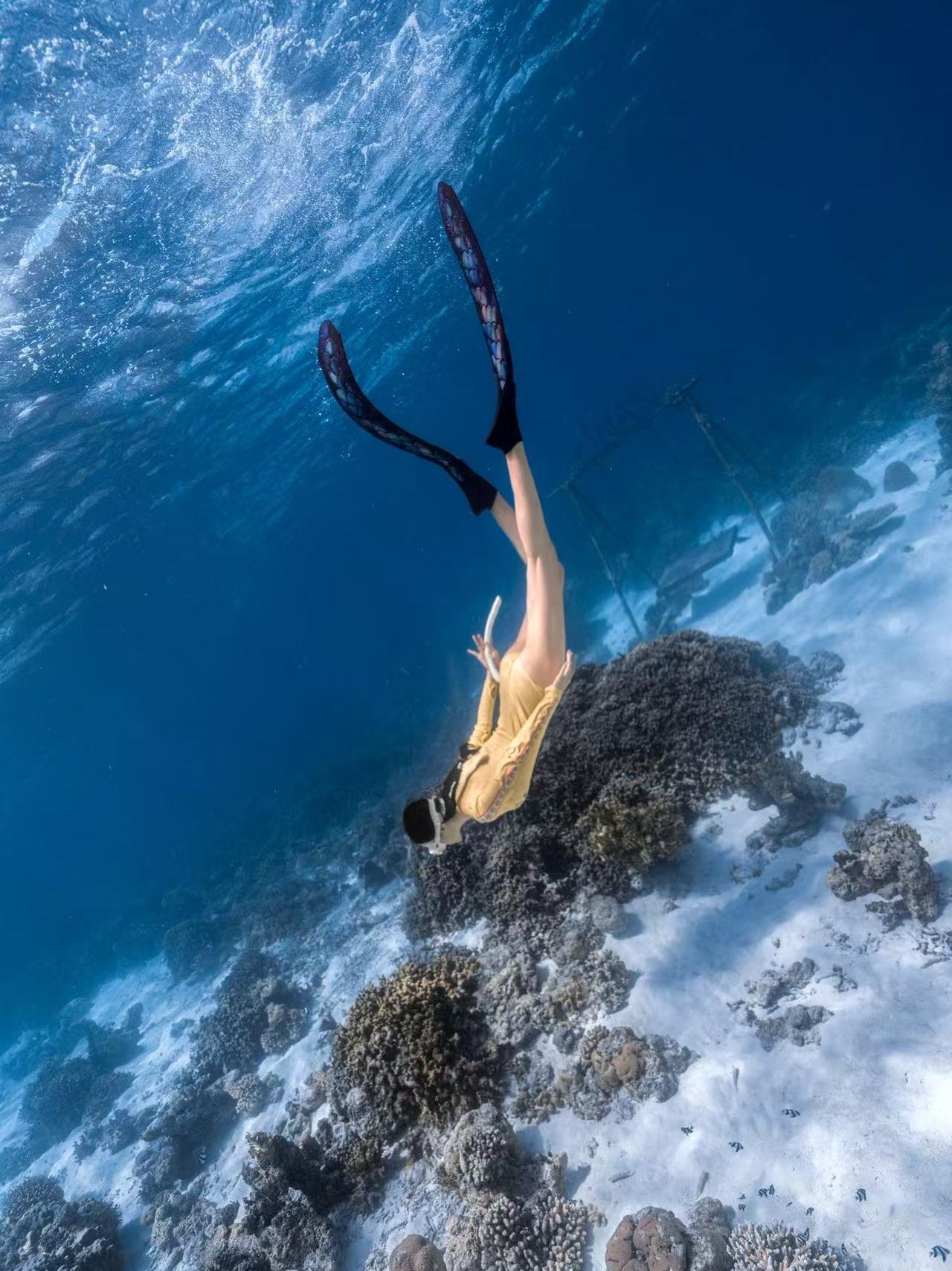 找潜伴比找对象还难 在线舔一个潜伴