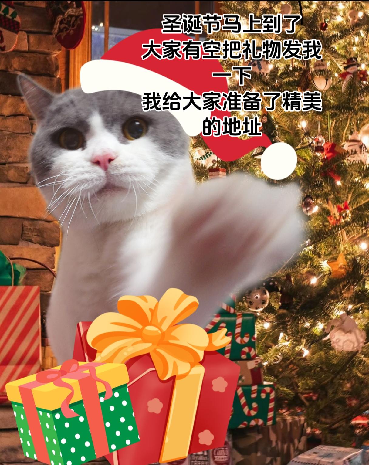 我准备了精美的地址～