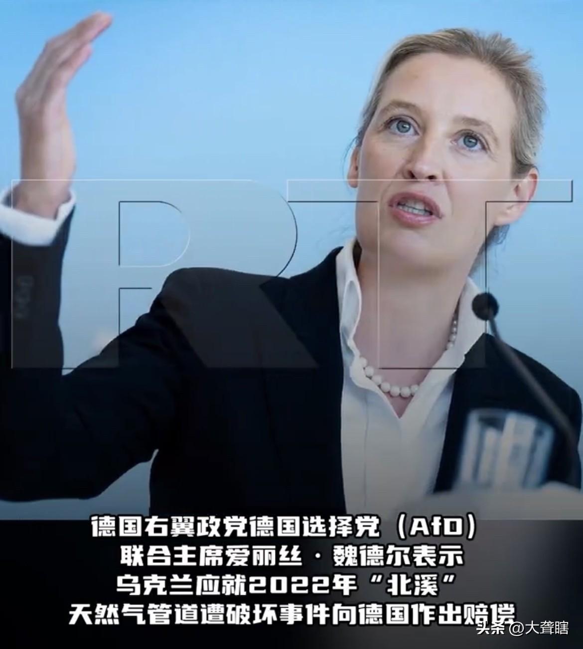 【泽连斯基脑袋又要嗡嗡响了，德国选择党要求乌克兰赔偿损失】
据外媒消息，德国选择