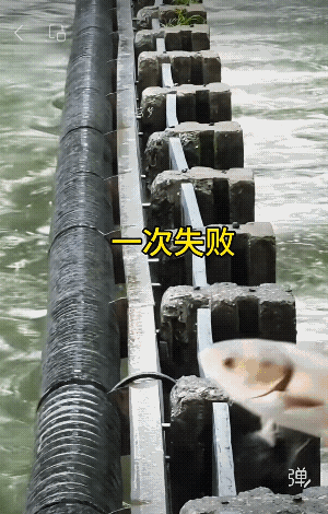 这跳过去了 能怎么样？[捂脸]