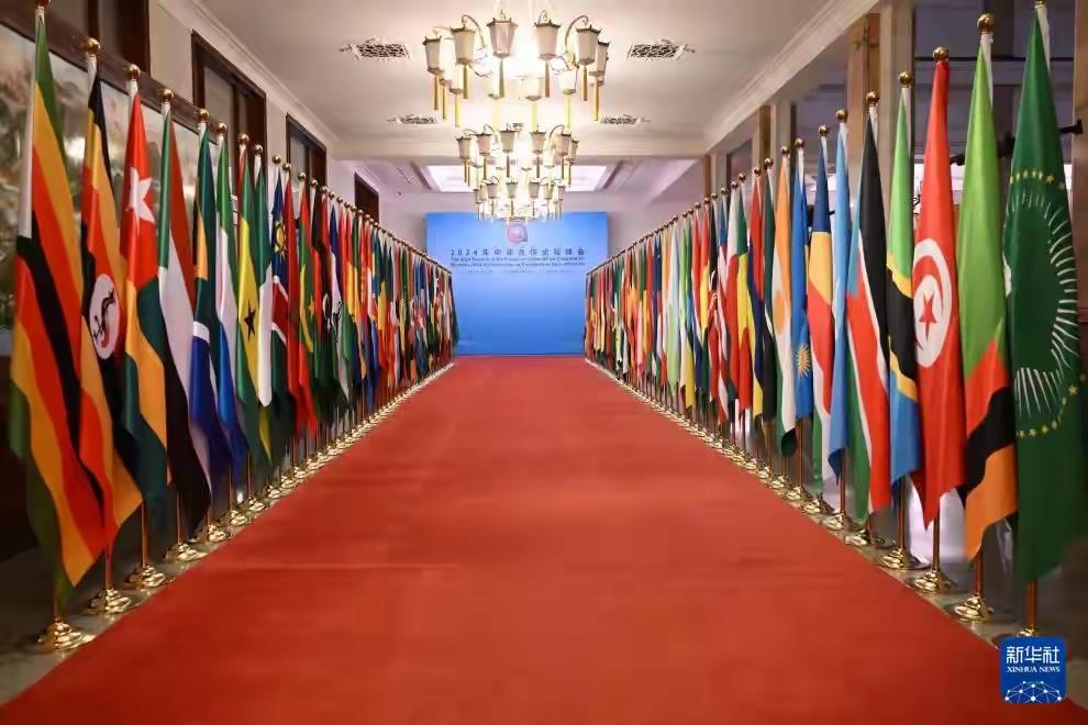 一觉醒来，53国收到好消息，中国关税全免，唯独一国被台当局拖累。

日前，在世贸