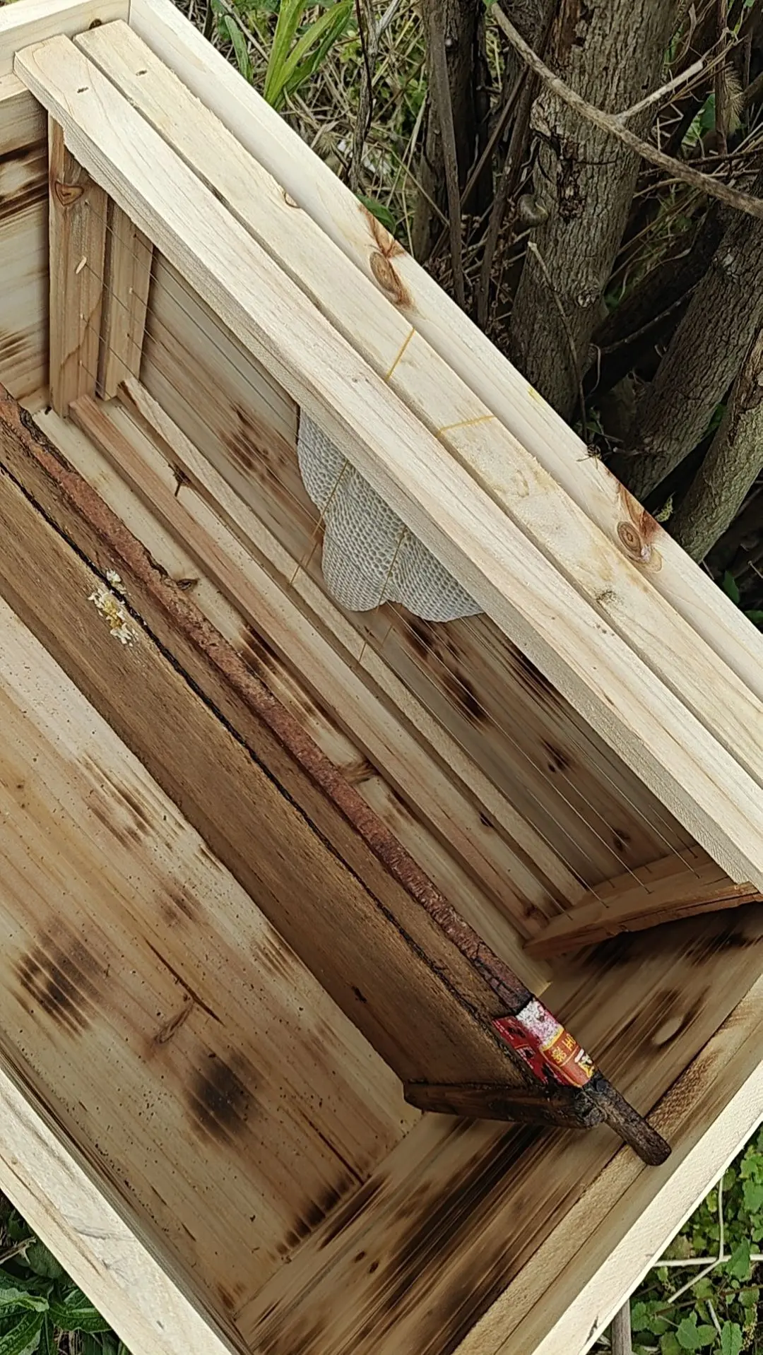 蜜蜂为什么爱逃跑