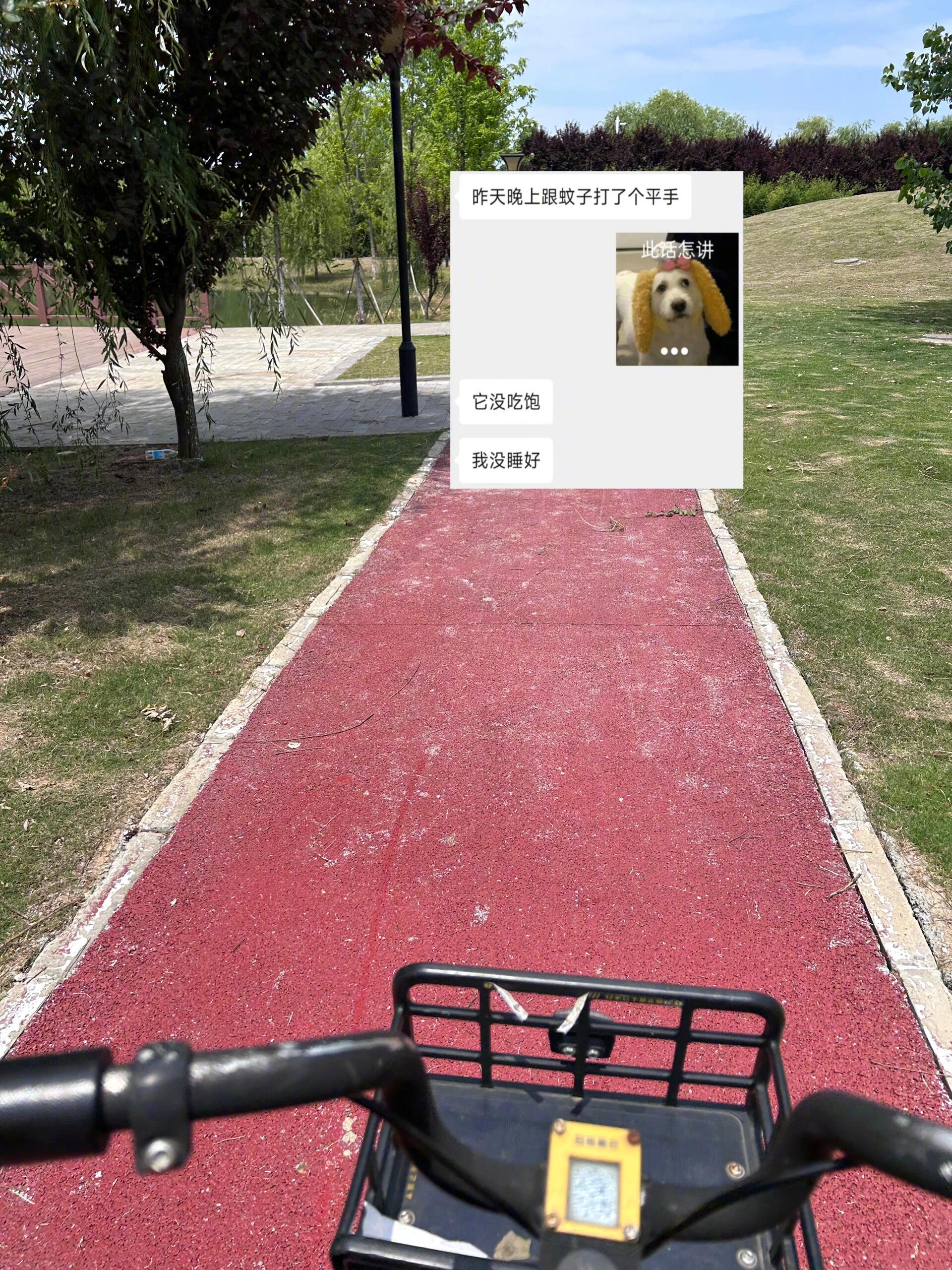 真的超喜欢有梗的朋友[毕业快乐][毕业快乐]#晒快乐挑战##超级红人节# ​​​