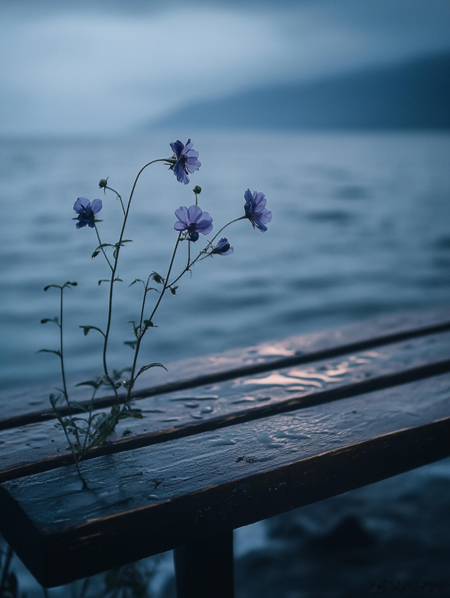 这9个婚姻真相，句句扎心却很.现实：1.爱，不是按你的剧本演他要真用你想要的方式