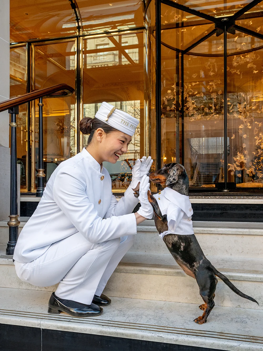 🐾 半岛携宠出行｜与爱宠共享奢华旅途