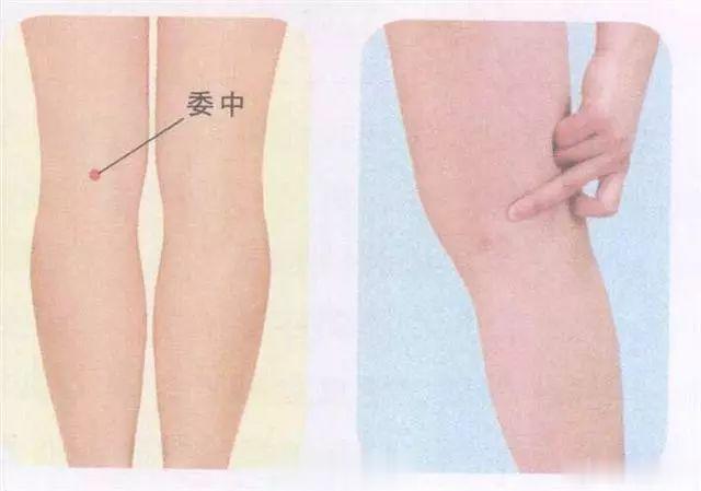 每天按摩这九个穴位，身体越来越健康了！解腰背酸痛穴：委中委中穴位于膝内窝腘窝处中