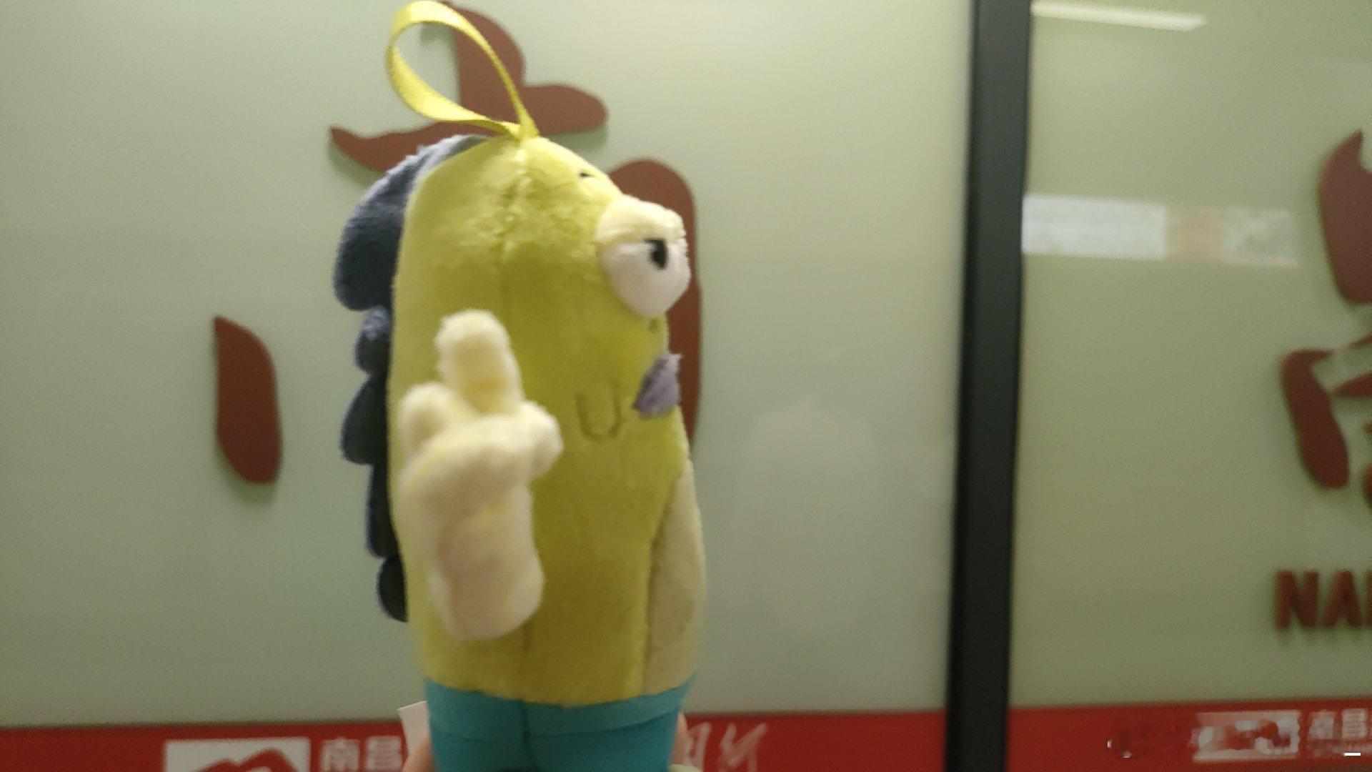 康康ip 