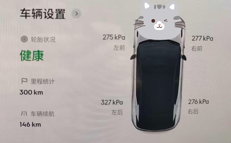 交给用户的新车，胎压是这样的，你们觉得这个交付，售后是不是拉胯？是啥品牌我先不说
