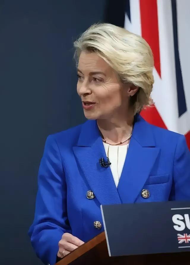 欧盟曾低估了中国。9月17日，据英国金融时报消息，欧盟已经正式宣布要求中国自愿限