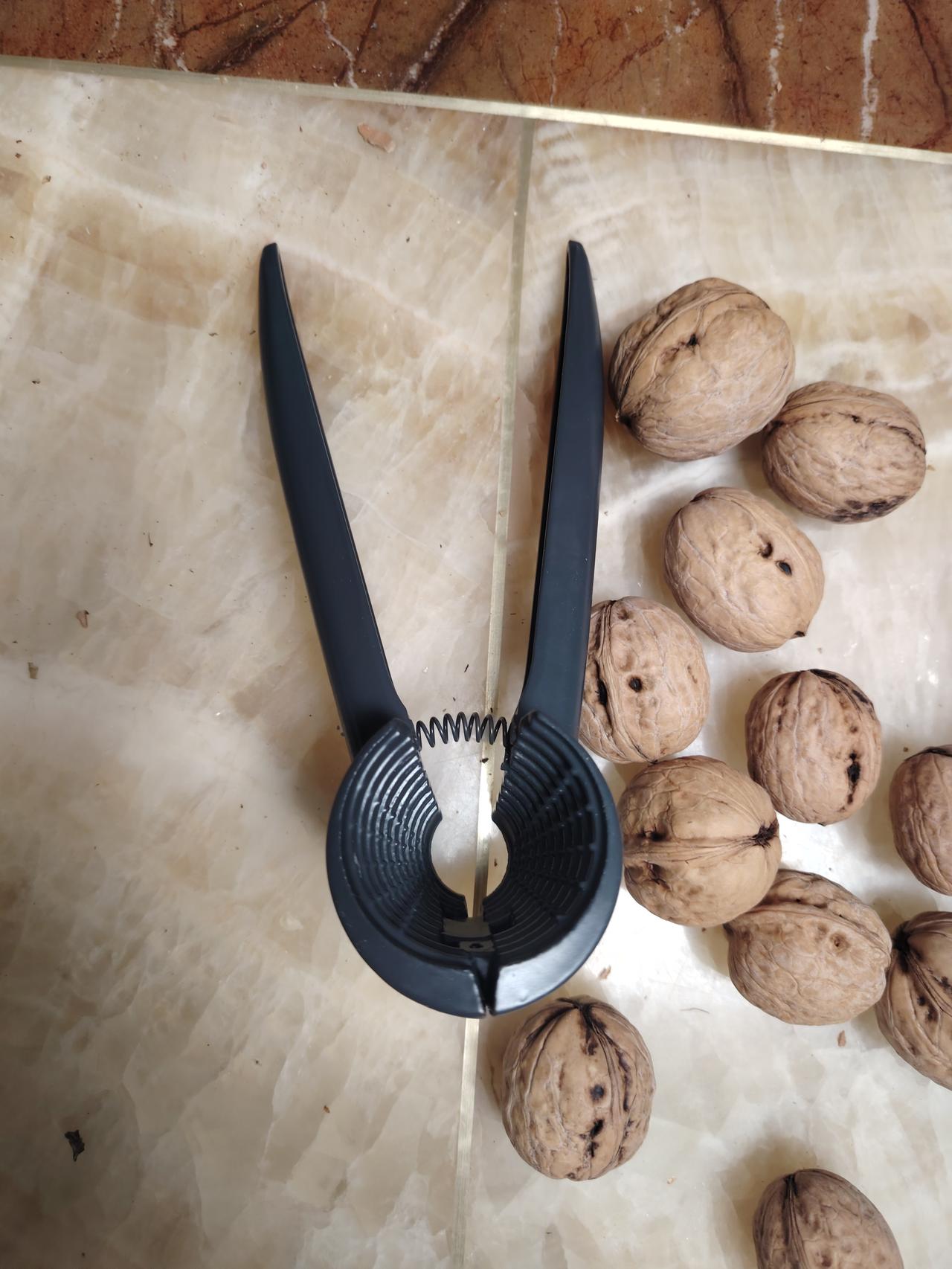 难怪人家买卖火爆！这服务谁能做到？！[赞][赞][赞]

刚买回来一个核桃夹子，