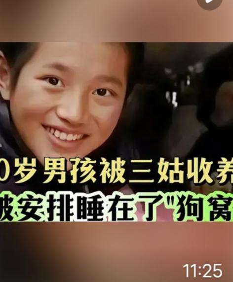 江苏10岁男孩住狗窝事件：最凉不过人心，最暖总有微光
 
江苏10岁男孩潘必成的