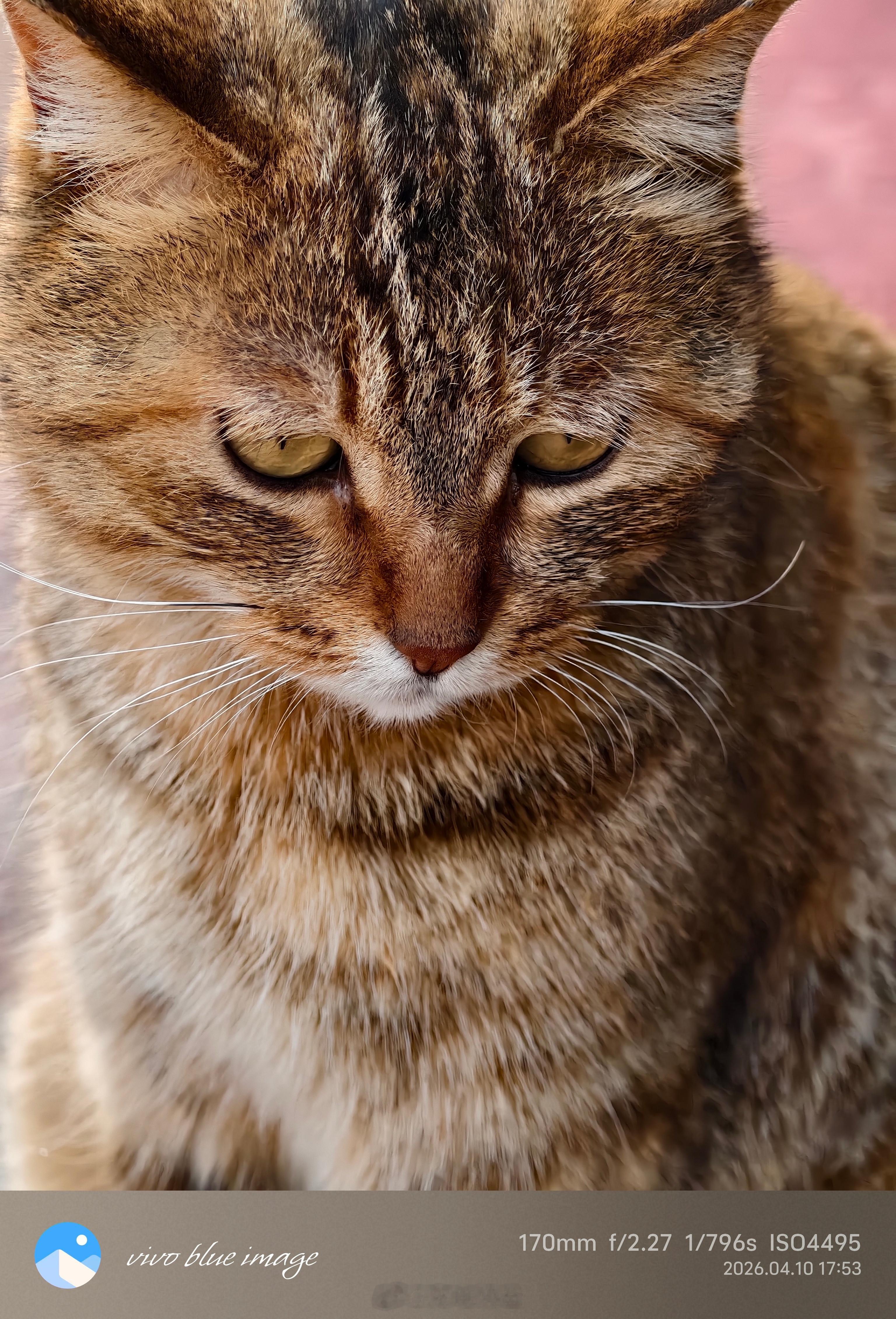 蓝厂超大杯的表现力就是好，我这种小白随手拍居然也能凑合看