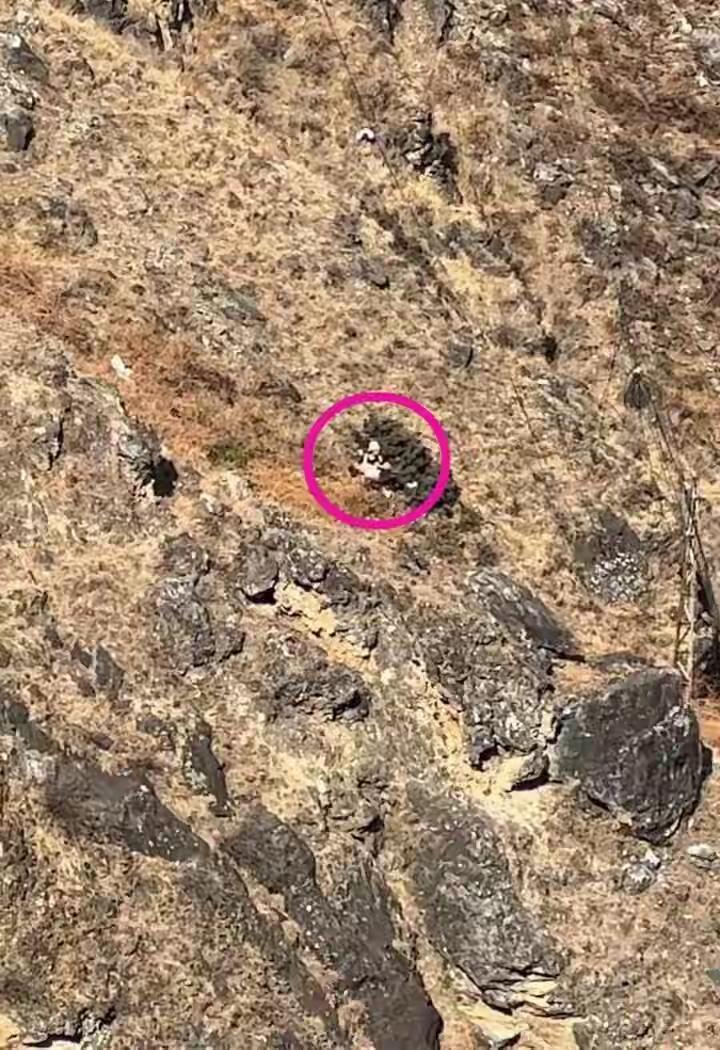 令人痛心疾首，一名8岁男童不幸坠崖遇难

大年初五，本该是阖家团圆、喜气洋洋的日