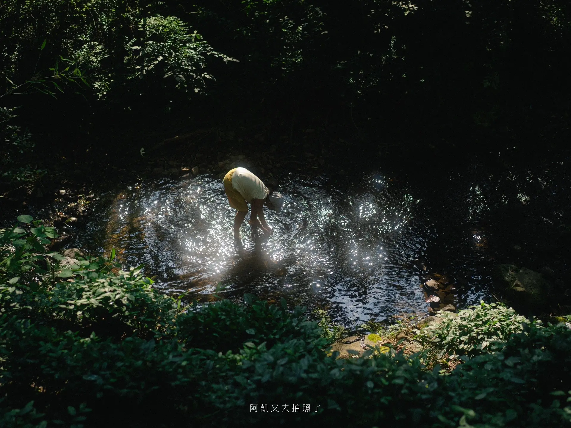 我将用20张图片来展示我镜头下的2023。