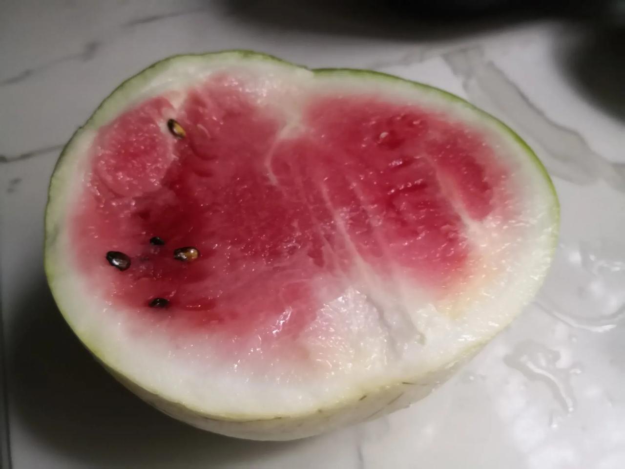 歪瓜

侄子昨天回了乡下老家，从老家给我带了个小西瓜，临走的时候一再说要我尽快吃