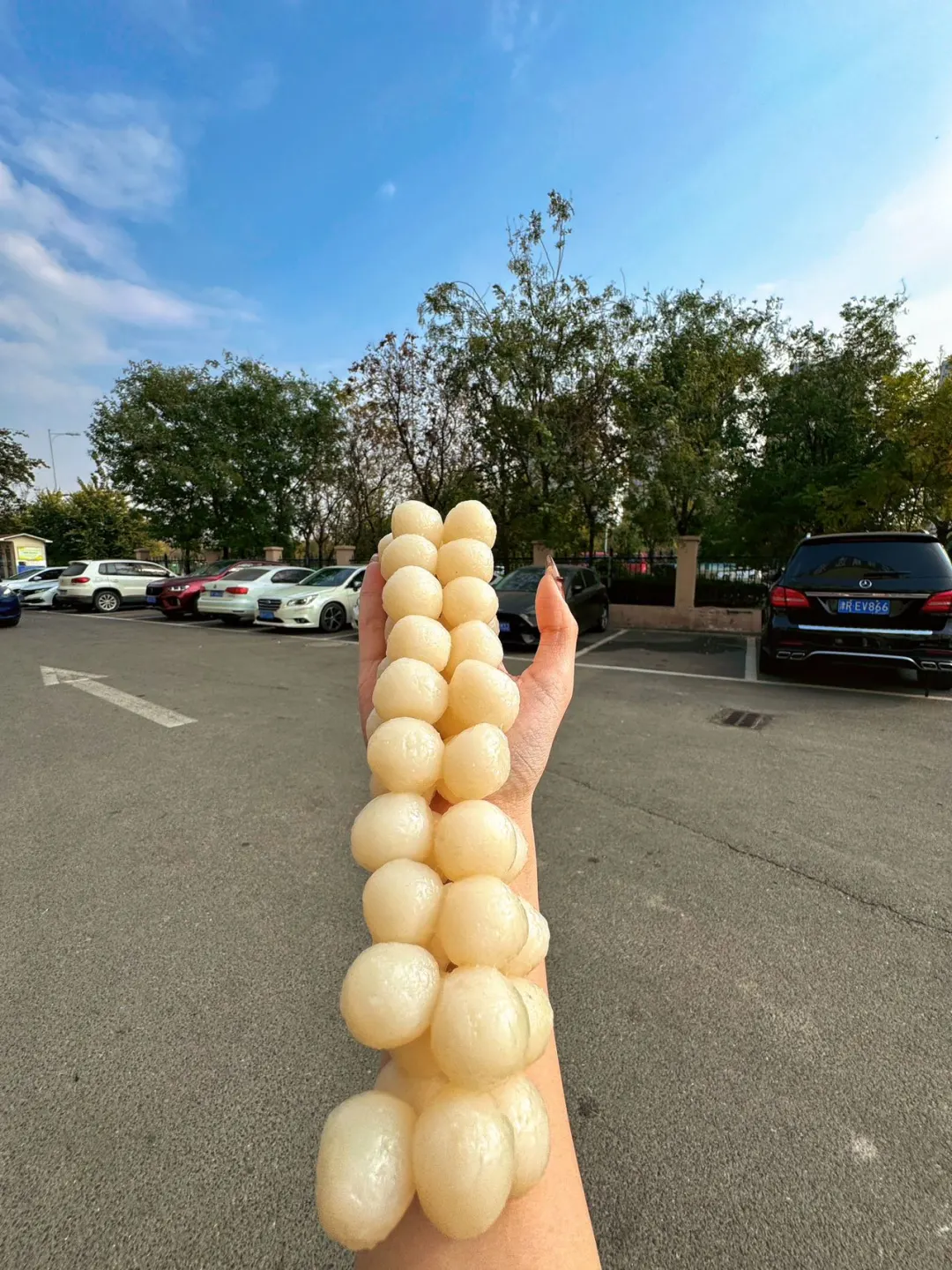 天津也有了！谁懂这一口糯叽叽的幸福程度…